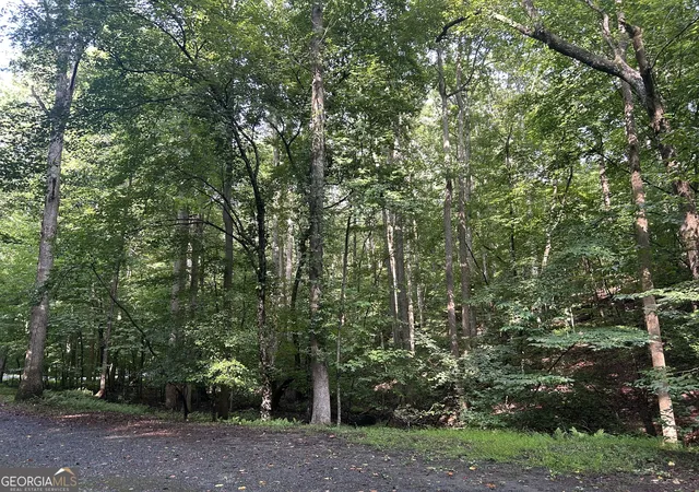 Photo 1 of Land for sale at 0 Shiloh Ct #132, Ellijay, GA 30540 | MLS# 10802731 | Listing updated on 2026-10-11