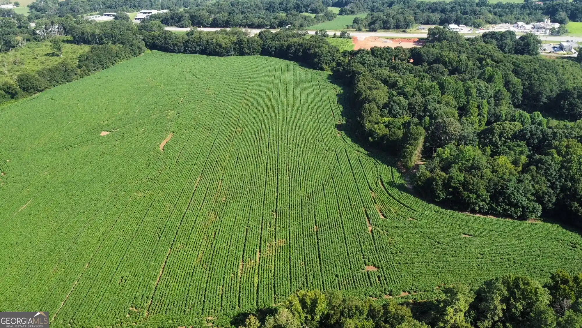 Photo 1 of Land for sale at 14880 S Highway 17, Lavonia, GA 30553 | MLS# 10878709 | Listing updated on 2026-10-24
