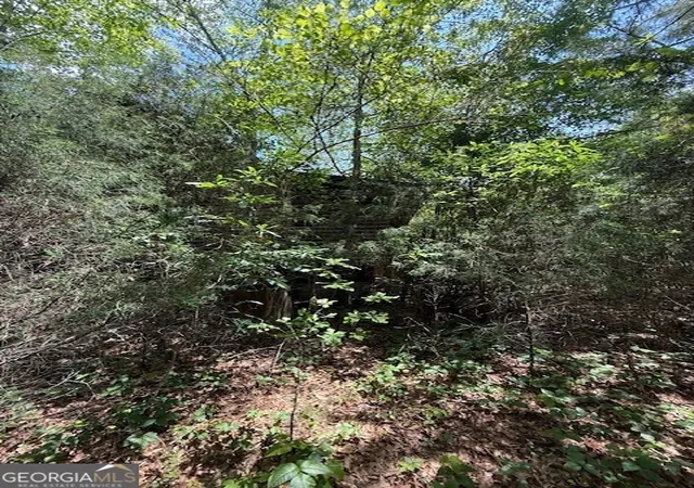 3rd image of 6343 Hwy 198, Carnesville, GA 30521 | MLS# 10513824