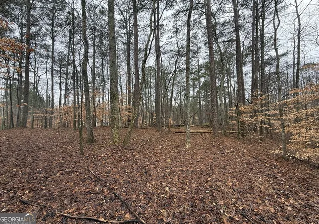 2nd image of 1666 Rock Springs Ln, Woodstock, GA 30188 | MLS# 10758741
