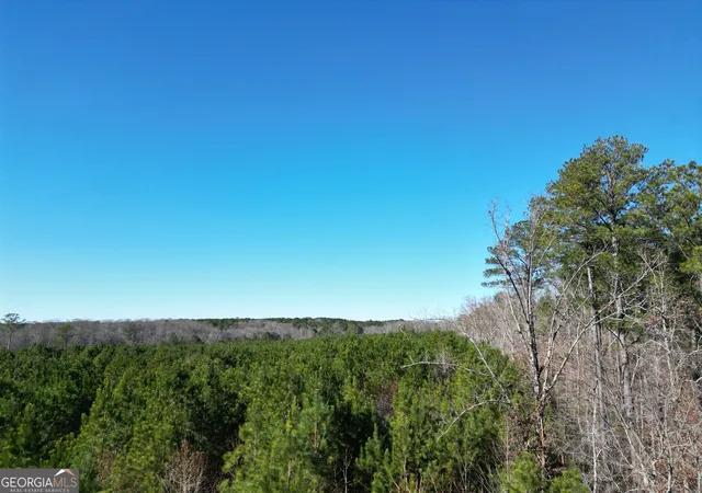 image of 0 Jaudon Rd #(30.03 ACRE LOT), Elberton, GA 30635 | MLS# 10804241