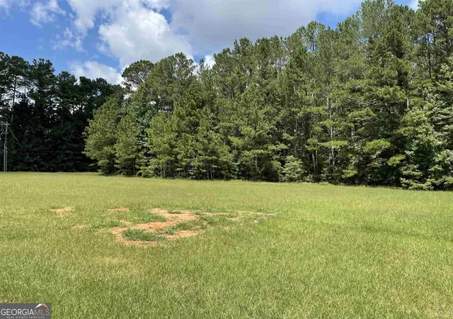 Photo 2 of Land for sale at 0 Mary Freeman Rd, Newnan, GA 30265 | MLS# 20069973 | Listing updated on 2026-07-08