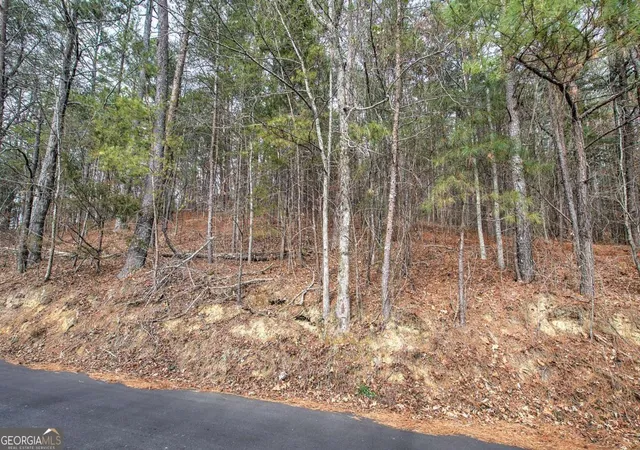 Photo 3 of Land for sale at 0 Manning Ml Rd, Summerville, GA 30747 | MLS# 10682088 | Listing updated on 2026-07-29