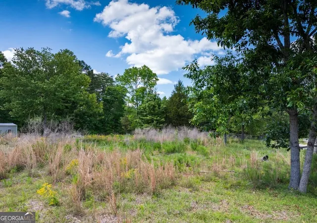 Homes for sale in Double Springs, AL | 0 County Road 3084 #LOT 6, Double Springs, AL 35553 | MLS# 10765505