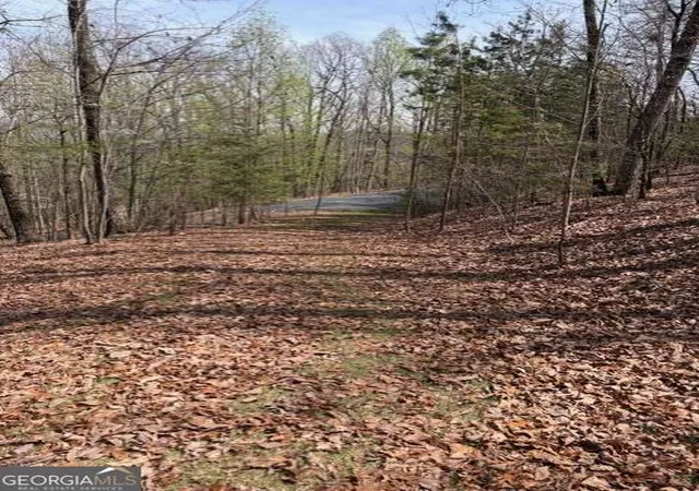 14th image of 0 Brumby Run #8, Blairsville, GA 30512 | MLS# 10726024