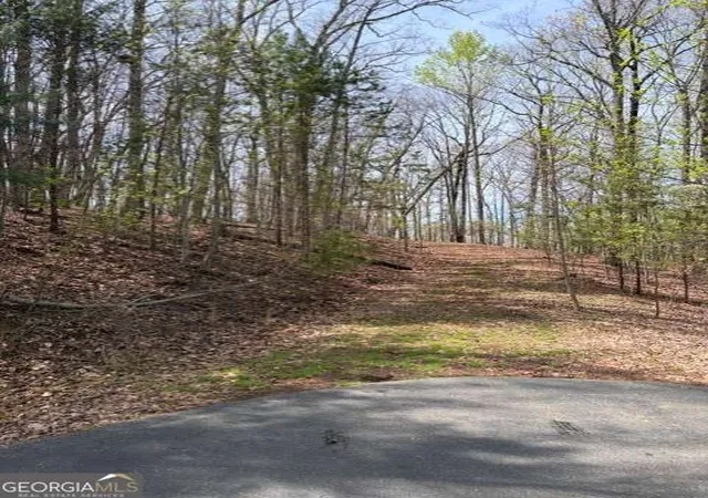 2nd image of 0 Brumby Run #8, Blairsville, GA 30512 | MLS# 10726024