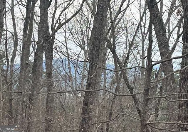 3rd image of 0 Brumby Run #8, Blairsville, GA 30512 | MLS# 10726024