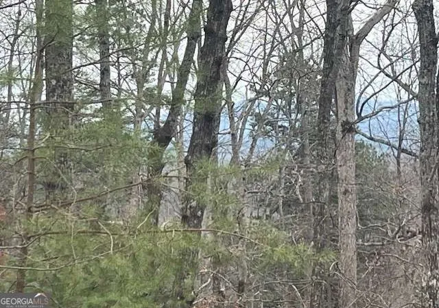 4th image of 0 Brumby Run #8, Blairsville, GA 30512 | MLS# 10726024