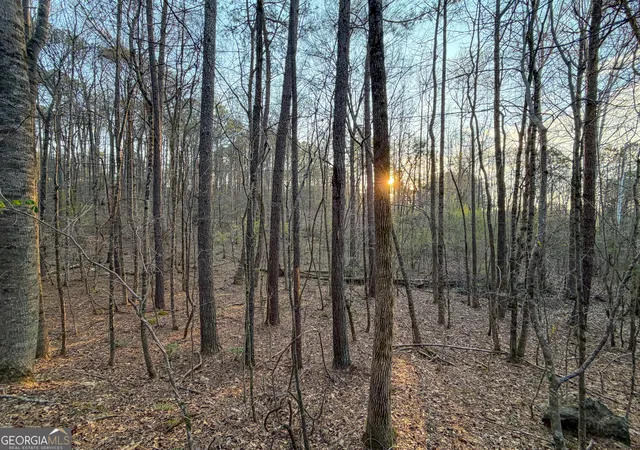 Photo 2 of House for sale at 83 +/ Acres On US Hwy 27, Franklin, GA 30217 | MLS# 10774845 | Listing updated on 2026-06-13