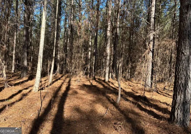 Homes for sale in Dahlonega, GA | 1107 Larmon Forks Rd, Dahlonega, GA 30533 | MLS# 10800953