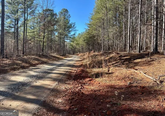 Homes for sale in Dahlonega, GA | 1107 Larmon Forks Rd, Dahlonega, GA 30533 | MLS# 10800953