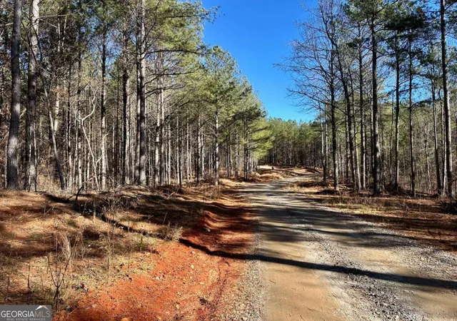 3rd image of 1107 Larmon Forks Rd, Dahlonega, GA 30533 | MLS# 10800953