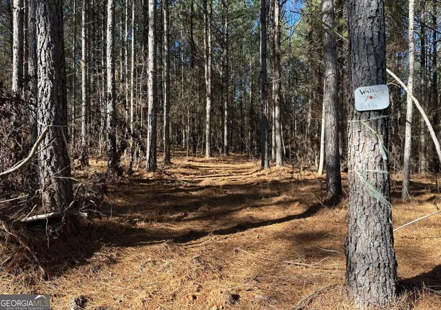 4th image of 1107 Larmon Forks Rd, Dahlonega, GA 30533 | MLS# 10800953