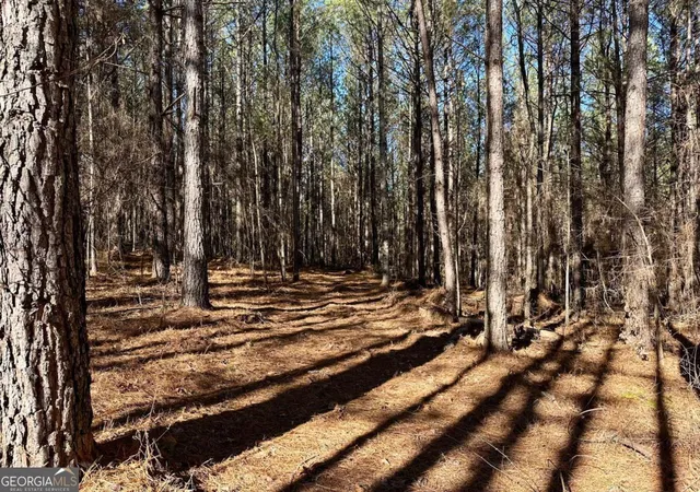 5th image of 1107 Larmon Forks Rd, Dahlonega, GA 30533 | MLS# 10800953
