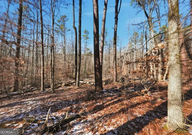 Photo 9 of Land for sale at 3220 Hidden Valley Rd, Gainesville, GA 30506 | MLS# 10683553 | Listing updated on 2026-02-16
