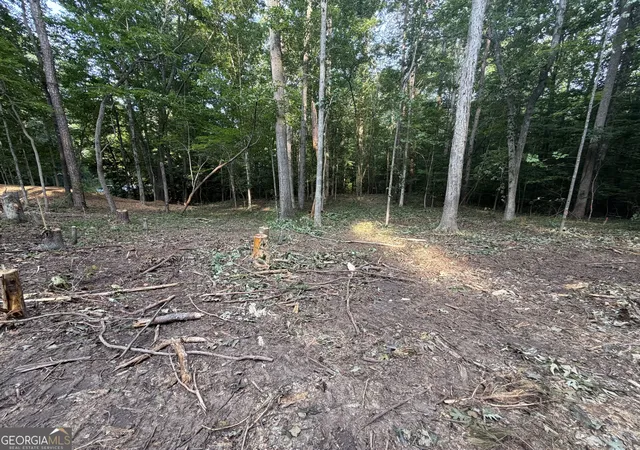 3rd image of 352 Lake Harbor Trl, Martin, GA 30557 | MLS# 10813483