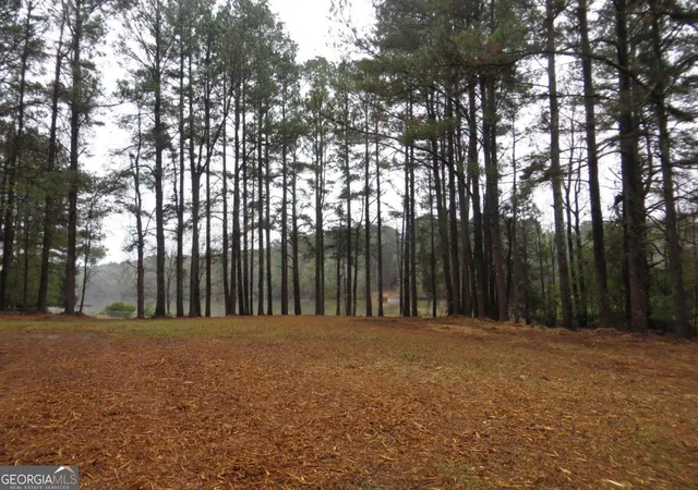 3rd image of Lot 10 Sugar Creek Trl #LOT 10, Buckhead, GA 30625 | MLS# 10654357