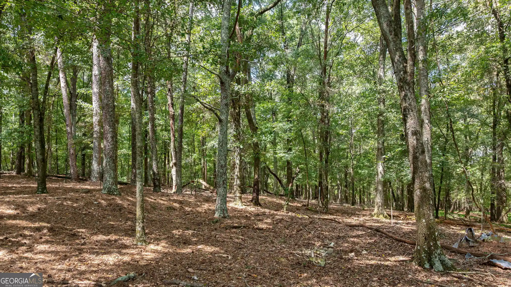 Photo 1 of Land for sale at 000 Middlebrooks Rd, Watkinsville, GA 30677 | MLS# 10858327 | Listing updated on 2026-10-16