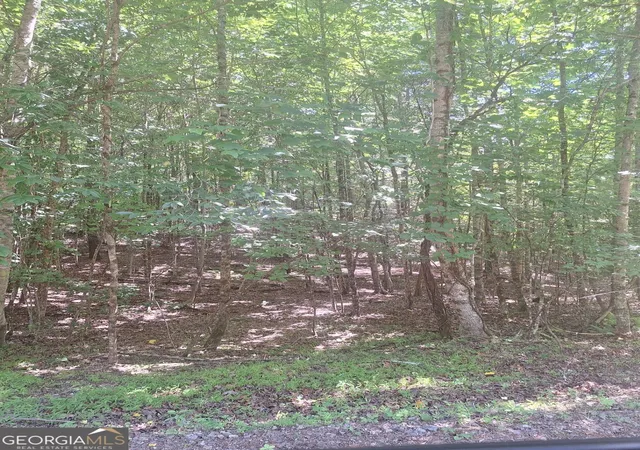 1st image of 0 Judah Road, Morganton, GA 30560 | MLS# 10793495