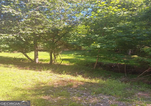 2nd image of 0 Judah Road, Morganton, GA 30560 | MLS# 10793495