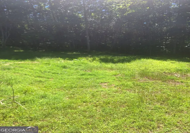 3rd image of 0 Judah Road, Morganton, GA 30560 | MLS# 10793495