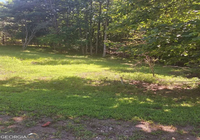 4th image of 0 Judah Road, Morganton, GA 30560 | MLS# 10793495