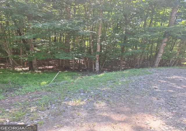 5th image of 0 Judah Road, Morganton, GA 30560 | MLS# 10793495