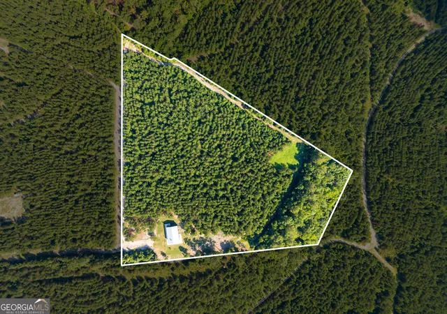 4th image of 3875 Poor Robin Rd, Sylvania, GA 30467 | MLS# 10798366