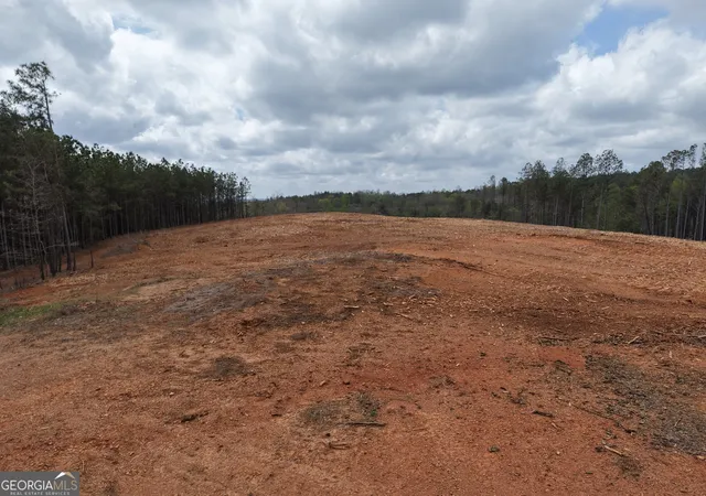 4th image of 0 Young Loop #7206 PARCEL B, Fairmount, GA 30139 | MLS# 10701389