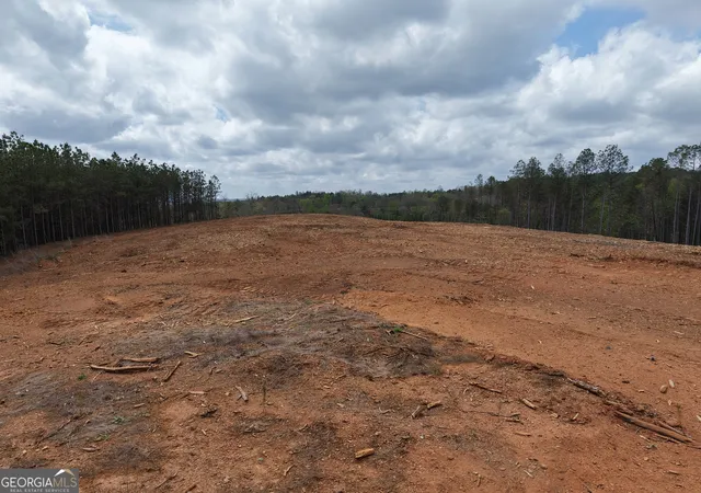5th image of 0 Young Loop #7206 PARCEL B, Fairmount, GA 30139 | MLS# 10701389
