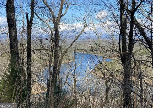 Photo 1 of Land for sale at #139 Genessee Path, Blue Ridge, GA 30513 | MLS# 10816738 | Listing updated on 2026-08-31