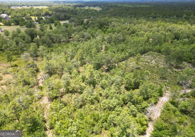 Homes for sale in Hinesville, GA | Lot 8 Faithland Dr, Hinesville, GA 31313 | MLS# 10785975