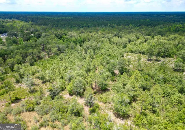 Homes for sale in Hinesville, GA | Lot 8 Faithland Dr, Hinesville, GA 31313 | MLS# 10785975