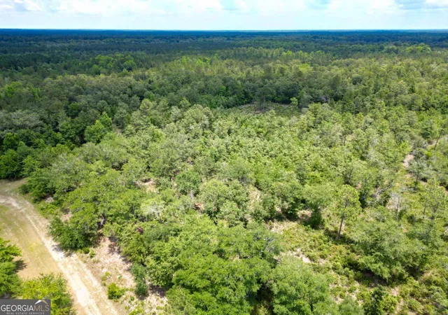 Homes for sale in Hinesville, GA | Lot 8 Faithland Dr, Hinesville, GA 31313 | MLS# 10785975