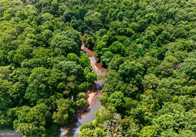 3rd image of 0 Hwy 42, Forsyth, GA 31029 | MLS# 10826005