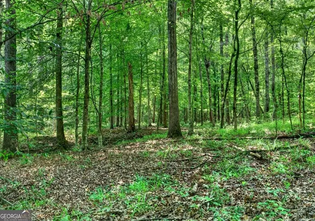 5th image of 0 Hwy 42, Forsyth, GA 31029 | MLS# 10826005
