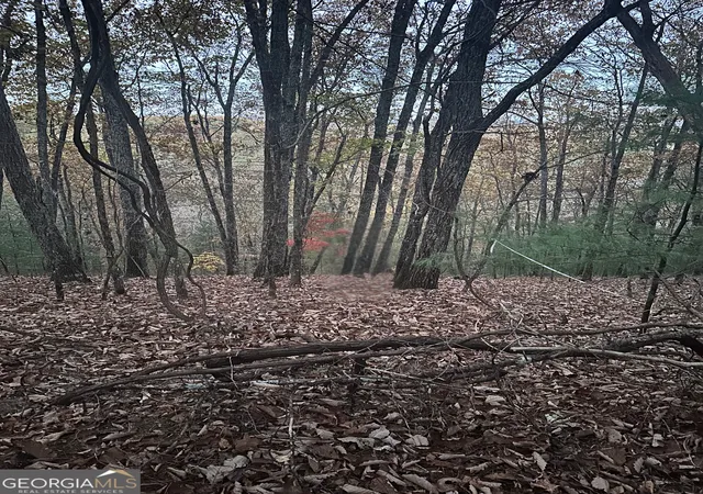 Homes for sale in Ranger, GA | 1037 Astro Ct, Ranger, GA 30734 | MLS# 10401529