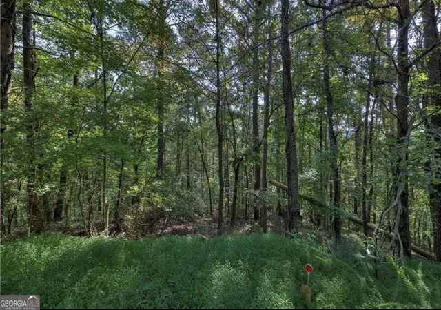 Homes for sale in Ranger, GA | 1037 Astro Ct, Ranger, GA 30734 | MLS# 10401529