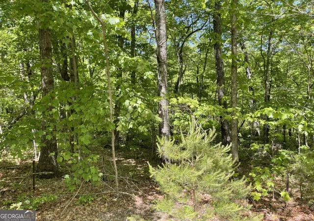 Homes for sale in Ellijay, GA | 206 Northview Pkwy, Ellijay, GA 30536 | MLS# 10777473