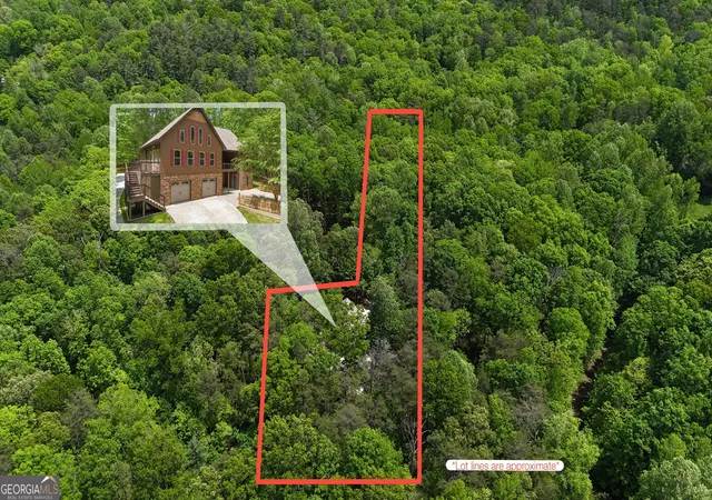 Homes for sale in Clarkesville, GA | 1615 Ben T Huiet Hwy Sr 255 Alt, Clarkesville, GA 30523 | MLS# 10795573