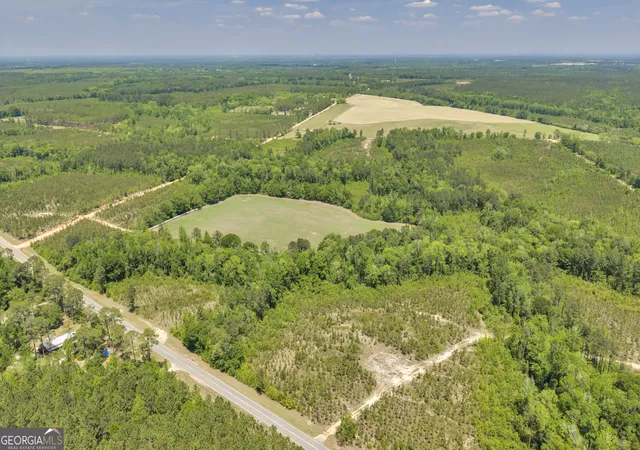 2nd image of 33 Hwy 126, Alamo, GA 30411 | MLS# 10785827