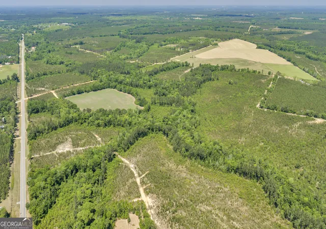 3rd image of 33 Hwy 126, Alamo, GA 30411 | MLS# 10785827