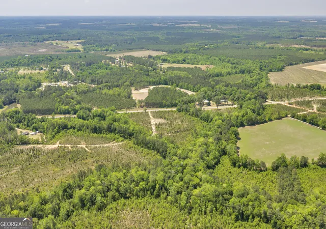 4th image of 33 Hwy 126, Alamo, GA 30411 | MLS# 10785827