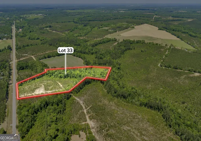 6th image of 33 Hwy 126, Alamo, GA 30411 | MLS# 10785827