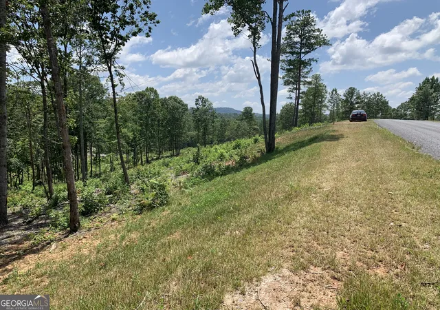 2nd image of L345 Twisted Oak Rd, Talking Rock, GA 30175 | MLS# 10715553