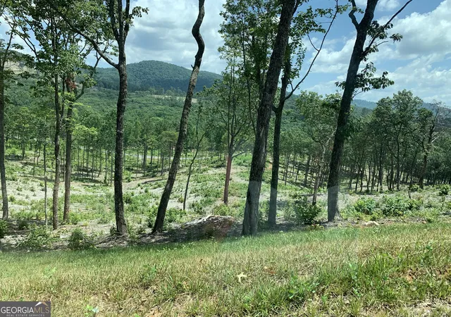 Photo 3 of Land for sale at 345 Twisted Oak Rd, Talking Rock, GA 30175 | MLS# 10715553 | Listing updated on 2026-06-11