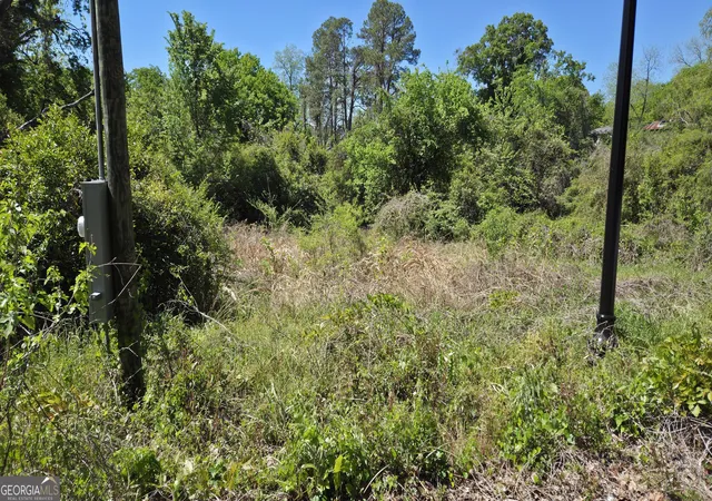 Photo 2 of Land for sale at 2150 Sycamore St, Macon, GA 31204 | MLS# 10726587 | Listing updated on 2026-04-21
