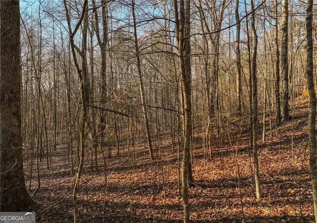 1st image of Lot 12 Mount Mincie Rd, Murrayville, GA 30564 | MLS# 10823139