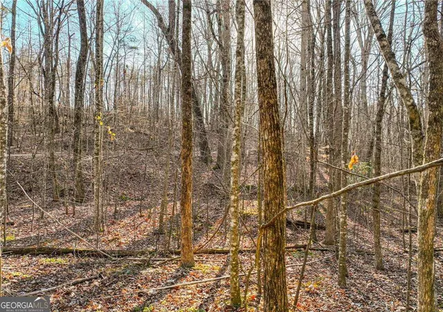 2nd image of Lot 12 Mount Mincie Rd, Murrayville, GA 30564 | MLS# 10823139