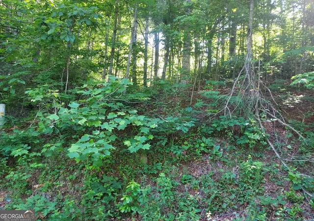 1st image of 0 Driver Lane, Sky Valley, GA 30537 | MLS# 10777365